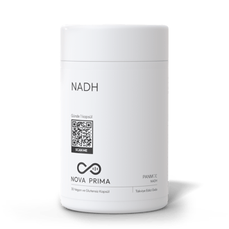 NADH