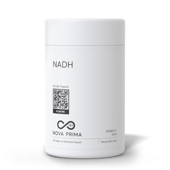 NADH