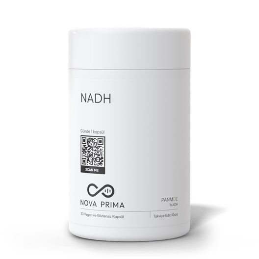 NADH