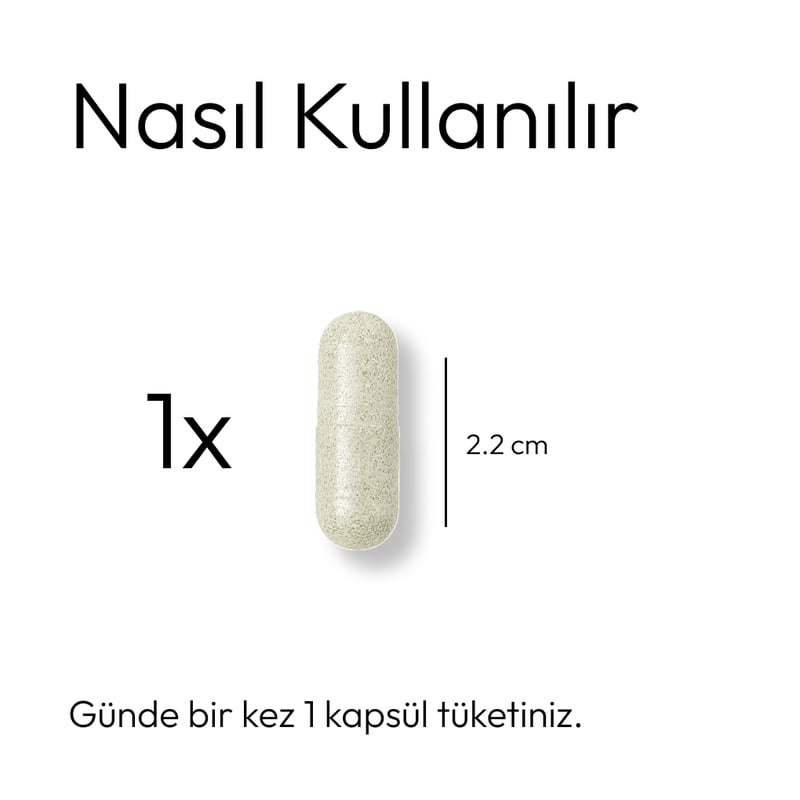 NADH – görsel 2