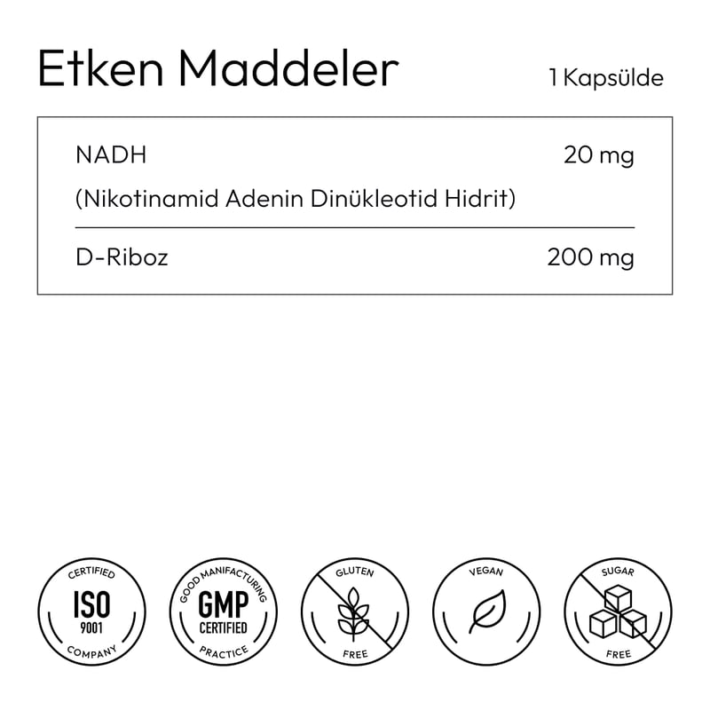 NADH – görsel 3
