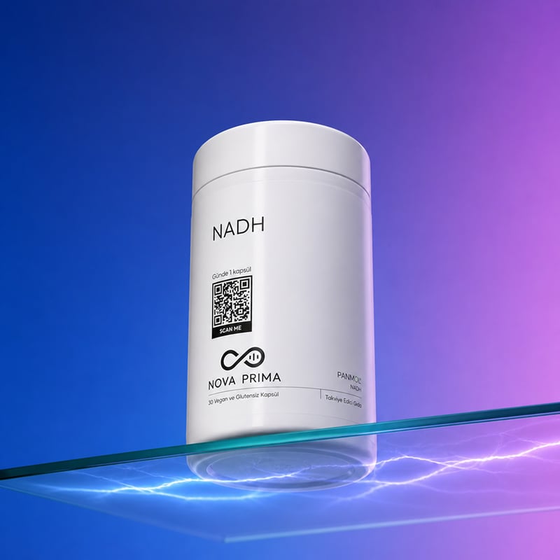 NADH – görsel 4