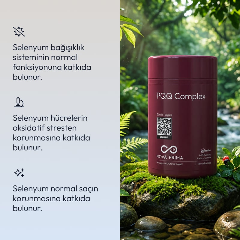 PQQ Complex  – görsel 4