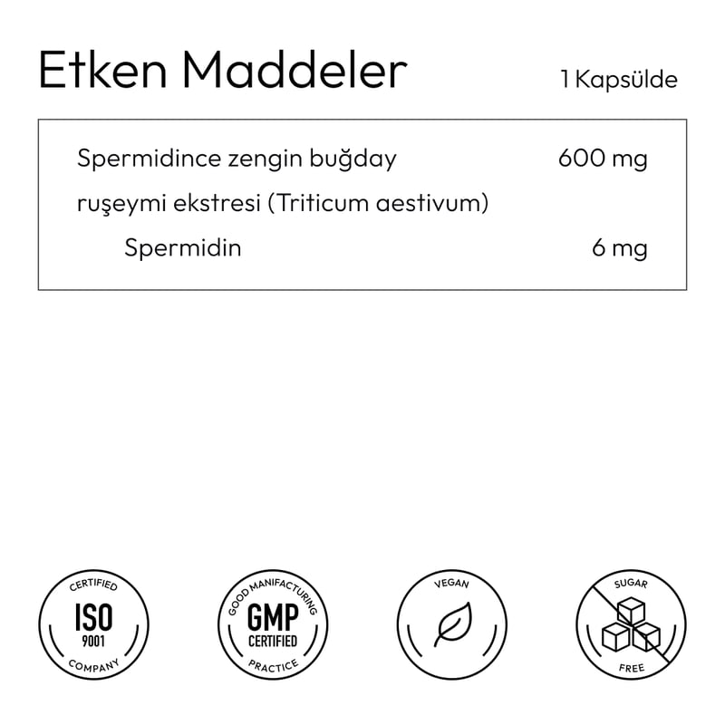 Spermidine – görsel 3